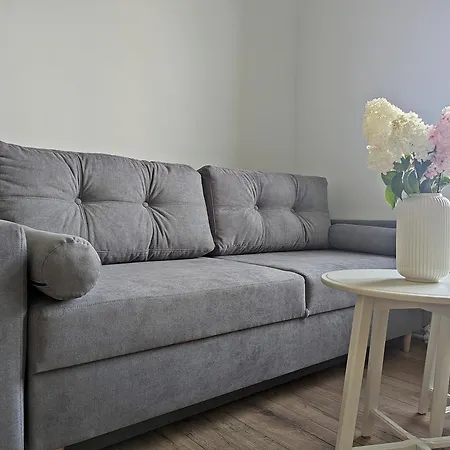 Mieszkanko Apartment